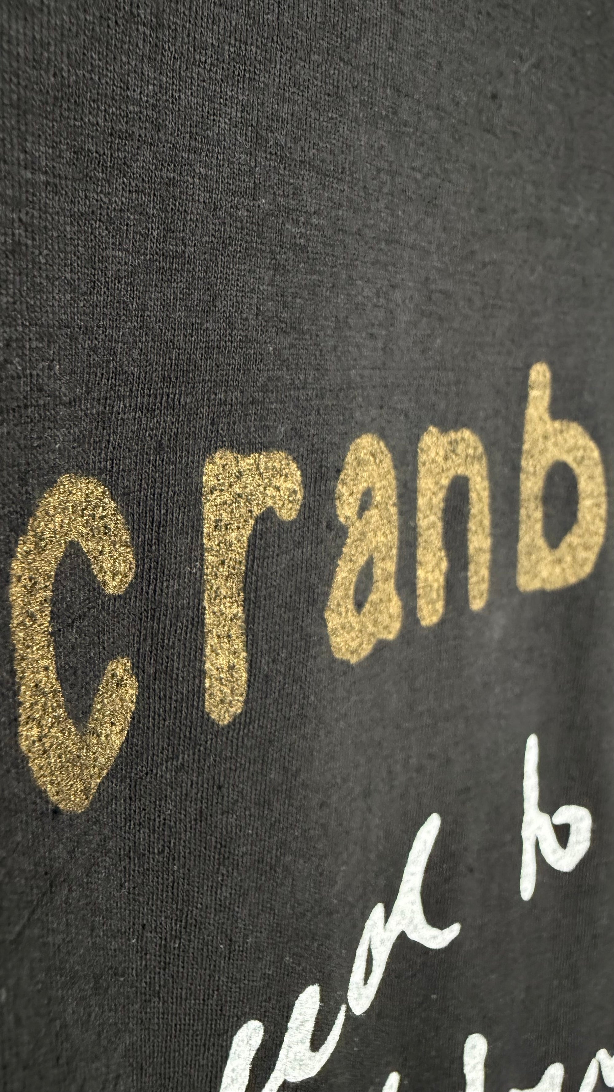 THE CRANBERRIES ZOMBIE TEE | NO NEED TO ARGUE WORLD TOUR 95’ | EURO BLACK VARIANT