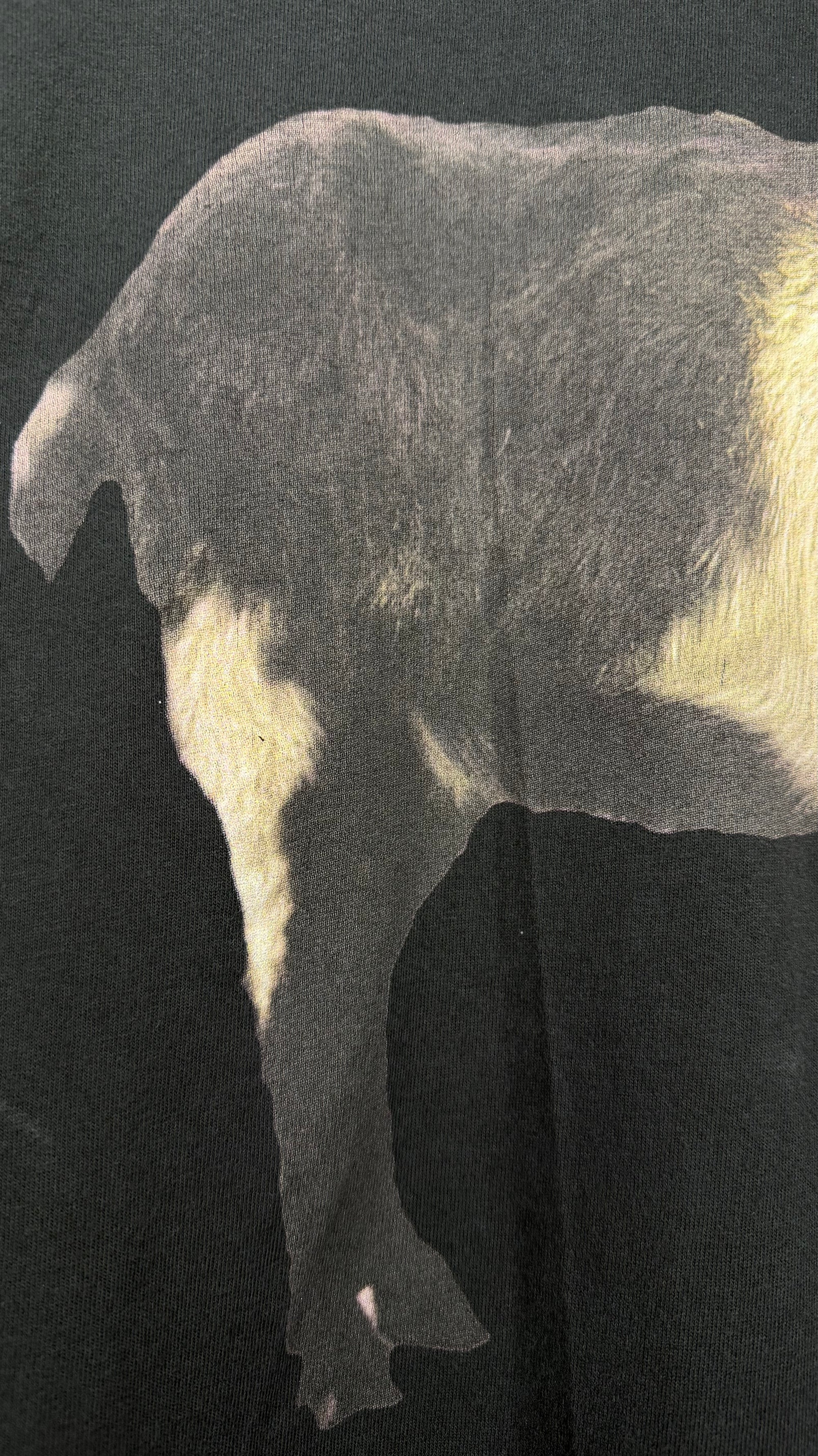 ADAM SANDLER GOAT TEE | ‘WHAT THE HELL HAPPENED TO ME?’ STAND-UP SUMMER TOUR 96’