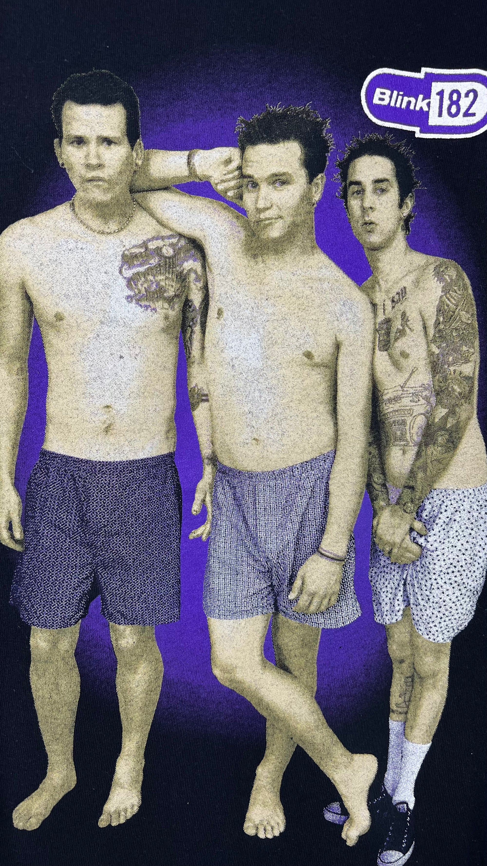 BLINK 182 ENEMA OF THE STATE TEE | MARK, TOM, AND TRAVIS UNDERWEAR GRAIL