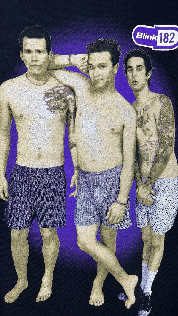 BLINK 182 ENEMA OF THE STATE TEE | MARK, TOM, AND TRAVIS UNDERWEAR GRAIL