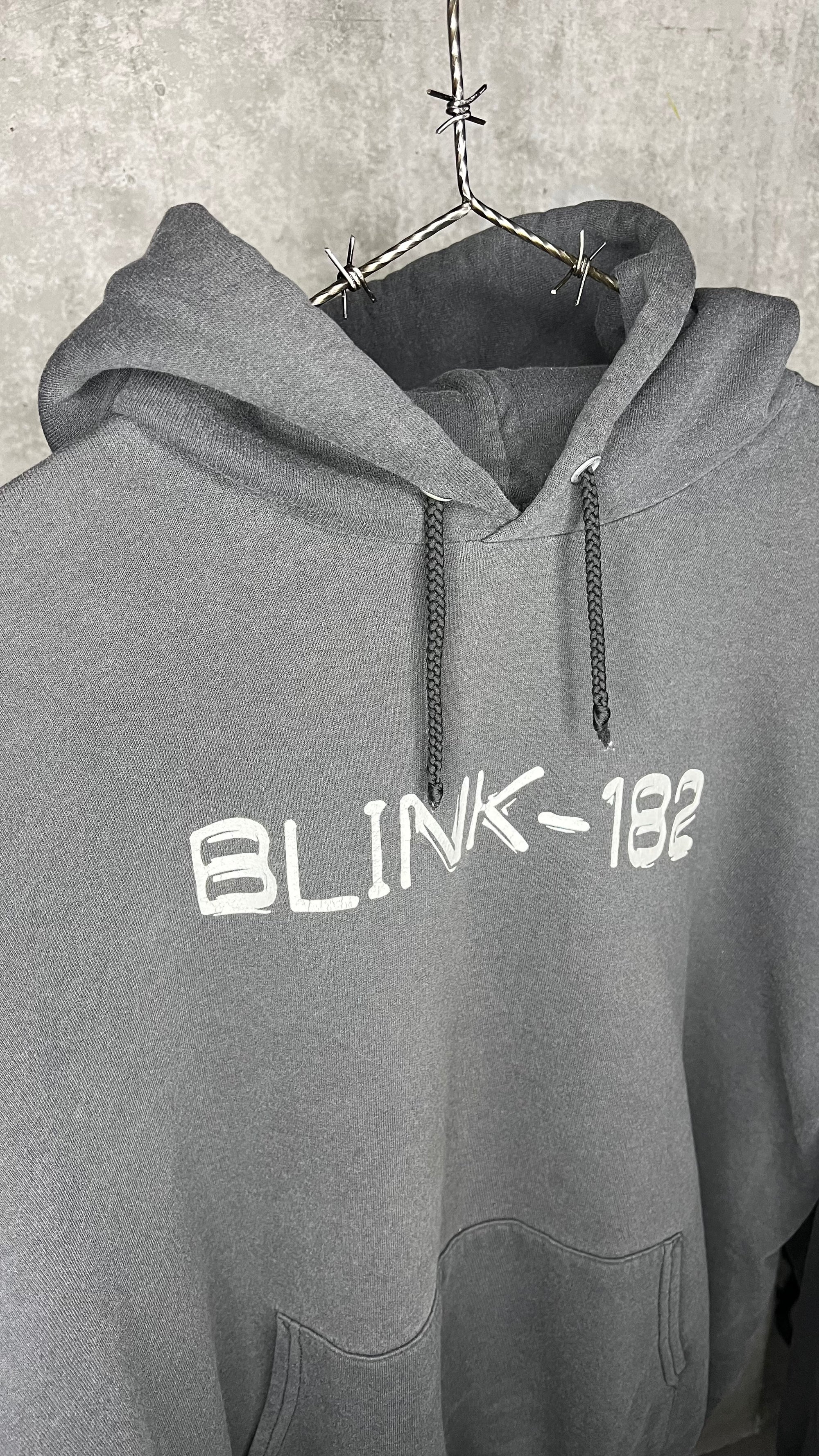 BLINK 182 TAKE OFF YOUR PANTS AND JACKET ALBUM HOODIE