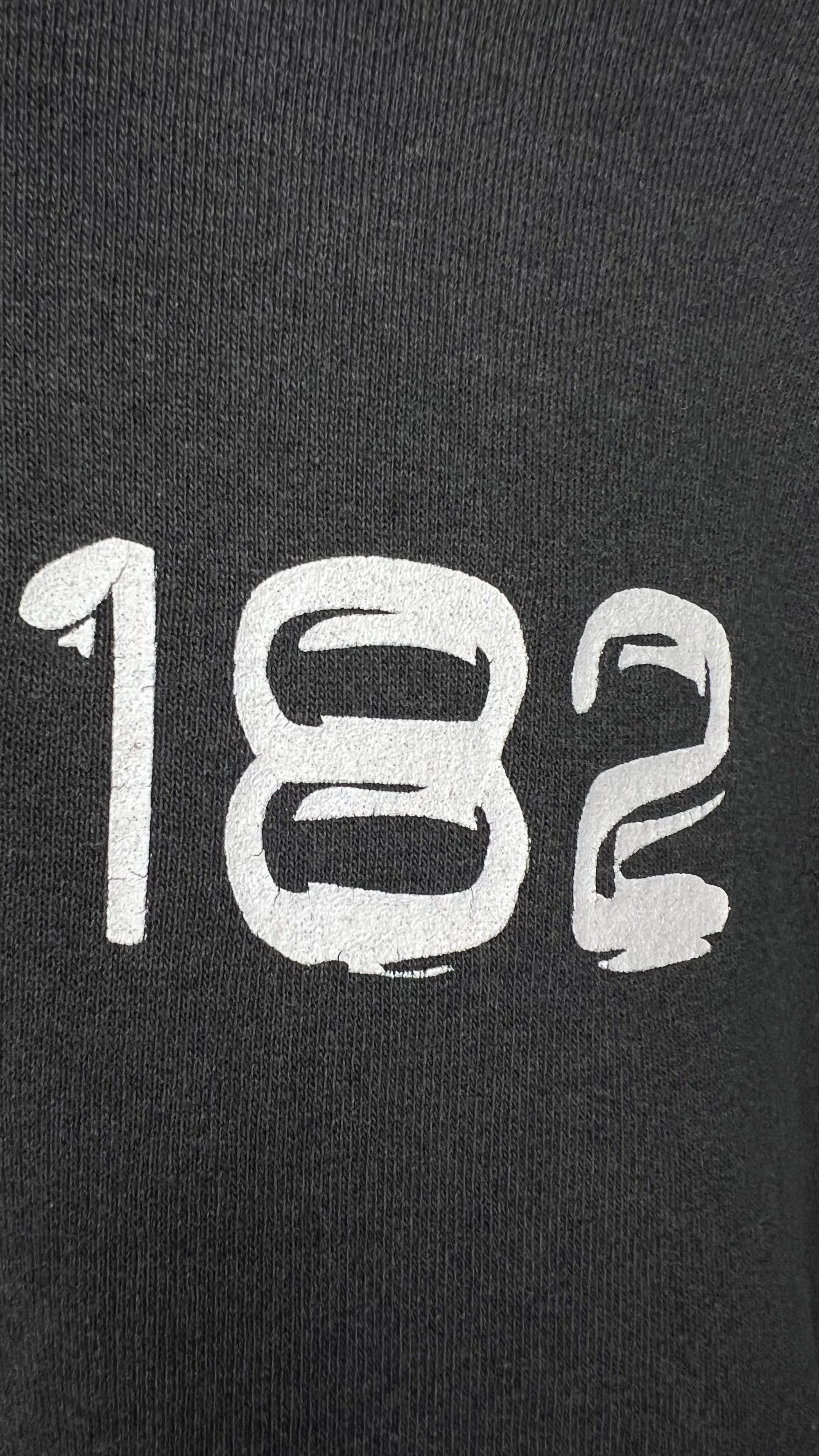 BLINK 182 TAKE OFF YOUR PANTS AND JACKET ALBUM HOODIE