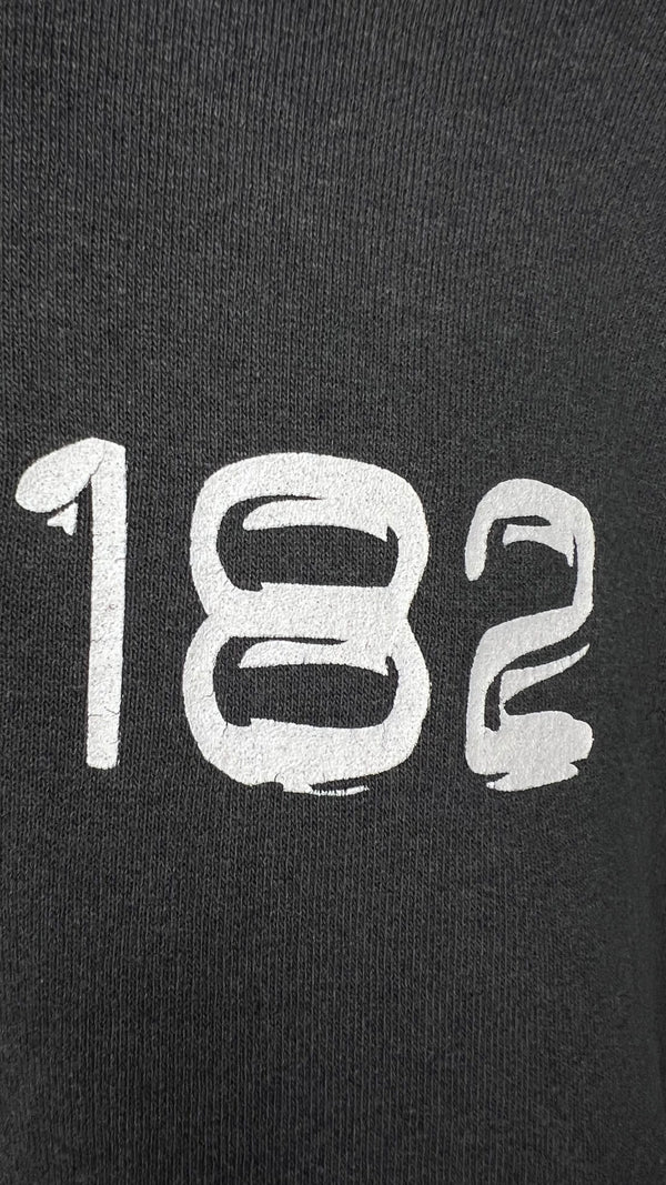 BLINK 182 TAKE OFF YOUR PANTS AND JACKET ALBUM HOODIE