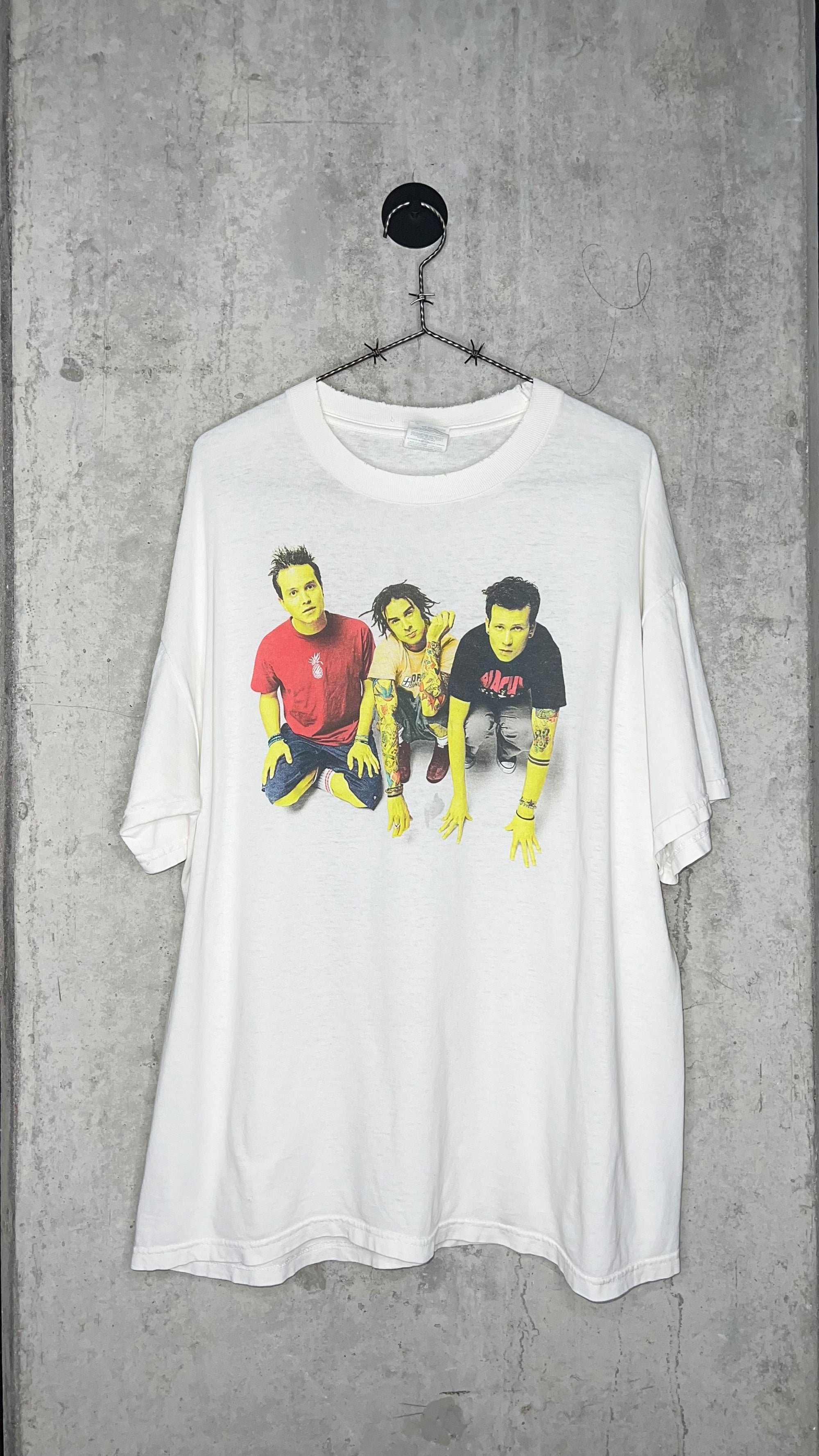 BLINK-182 BAND PORTRAIT | THE MARK, TOM & TRAVIS SHOW TEE