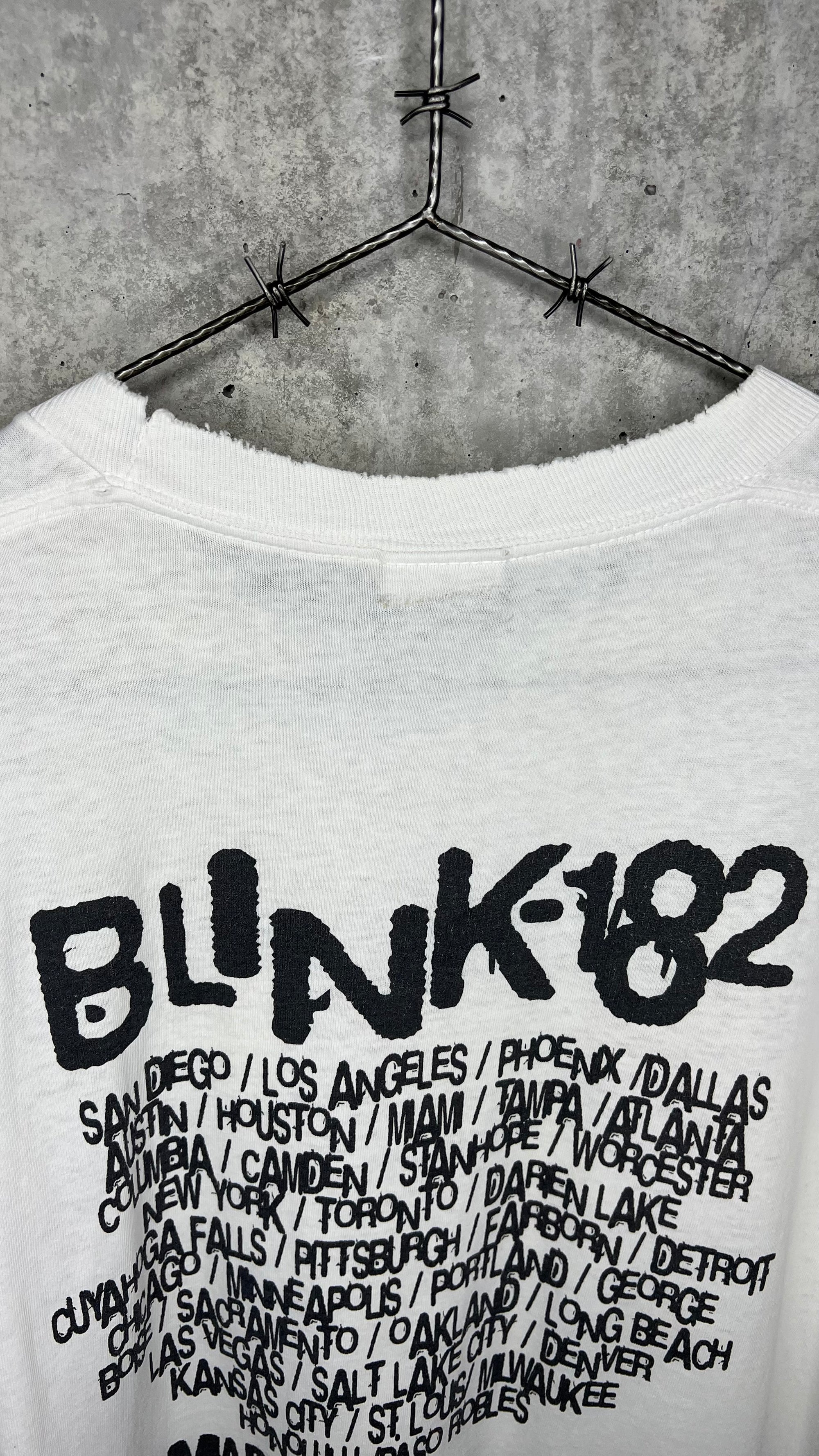 BLINK-182 BAND PORTRAIT | THE MARK, TOM & TRAVIS SHOW TEE