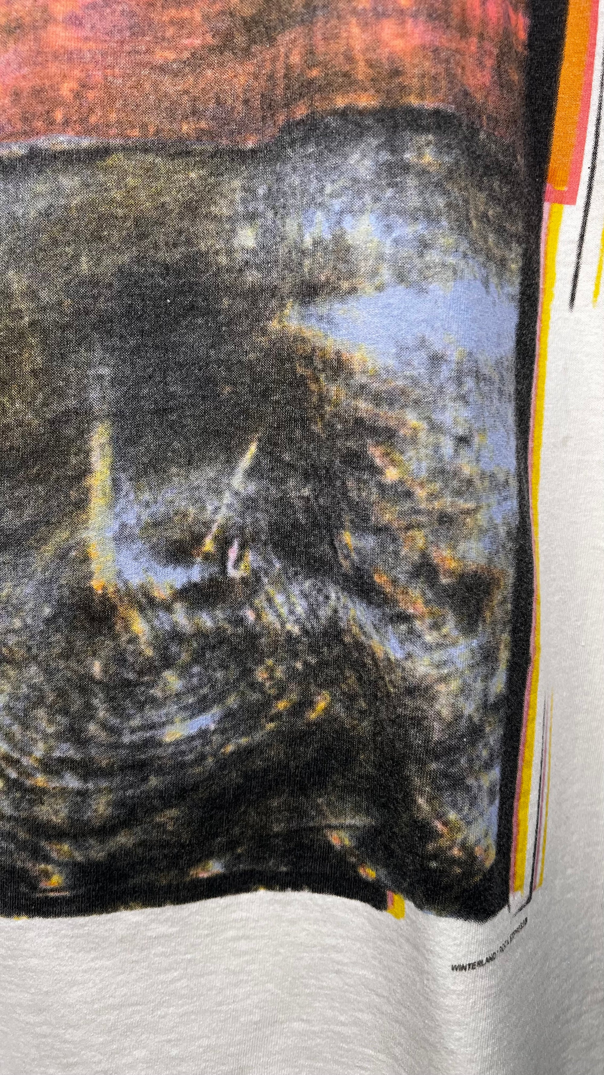 COCTEAU TWINS TEE | HOLV ERA 91’