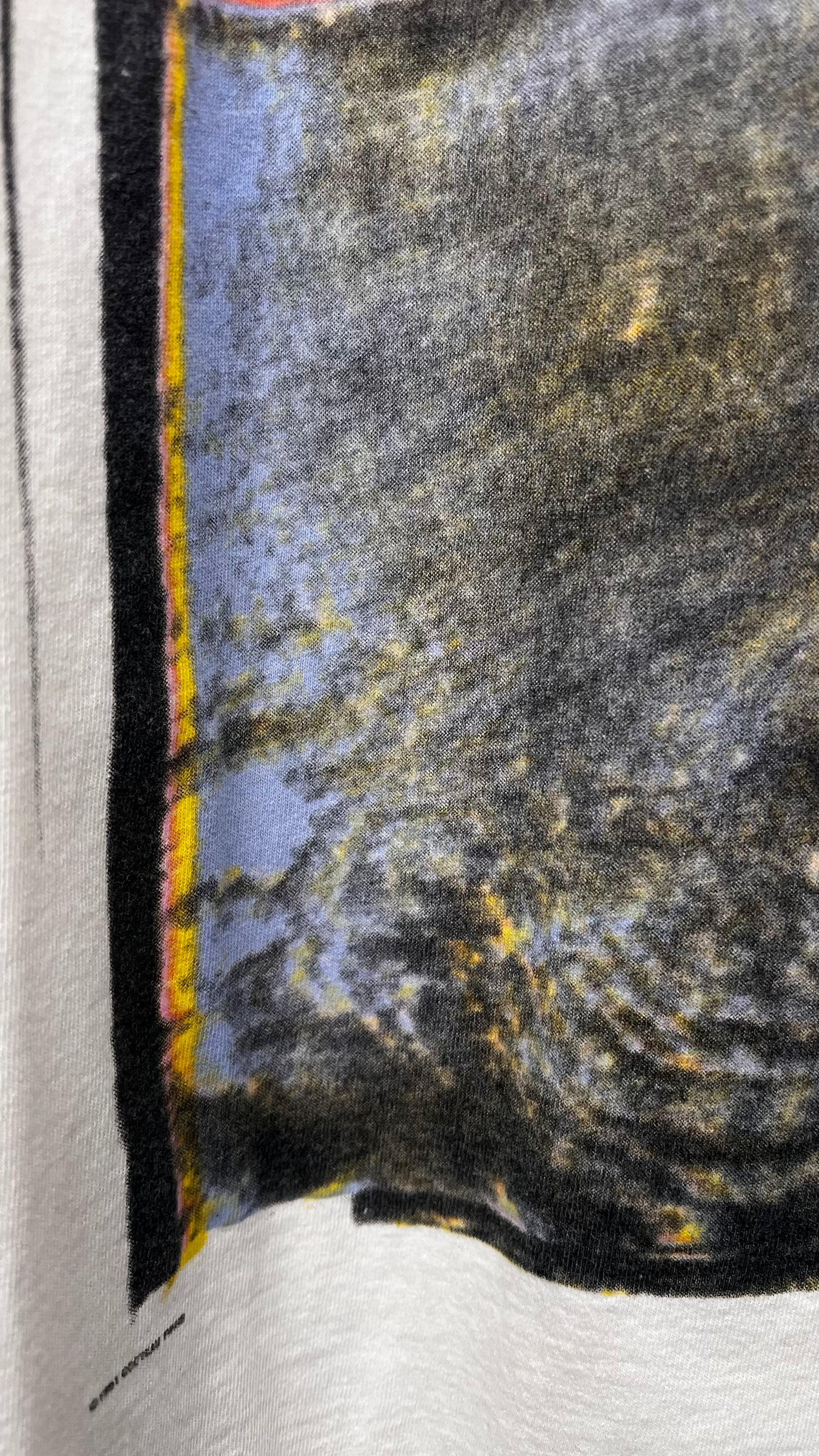 COCTEAU TWINS TEE | HOLV ERA 91’