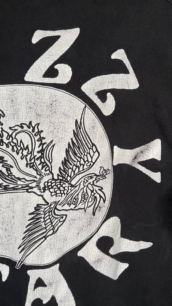 JESUS AND MARY CHAIN & MAZZY STAR 94’ TOUR LOT TEE | ULTRA RARE LONG SLEEVE