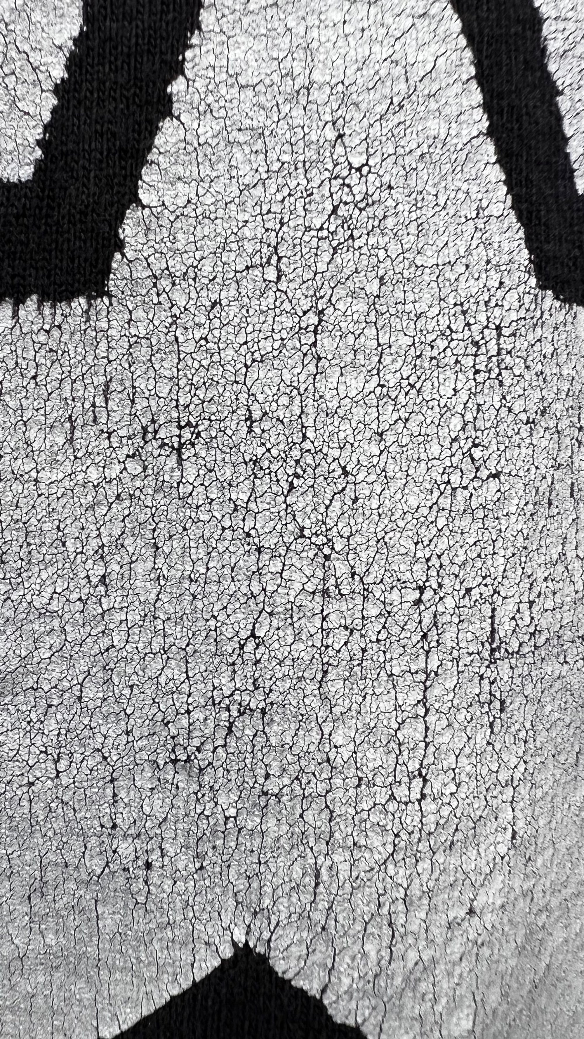 JESUS AND MARY CHAIN & MAZZY STAR 94’ TOUR LOT TEE | ULTRA RARE LONG SLEEVE