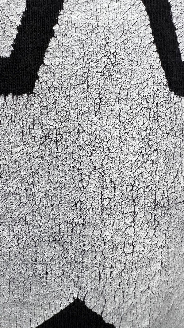 JESUS AND MARY CHAIN & MAZZY STAR 94’ TOUR LOT TEE | ULTRA RARE LONG SLEEVE