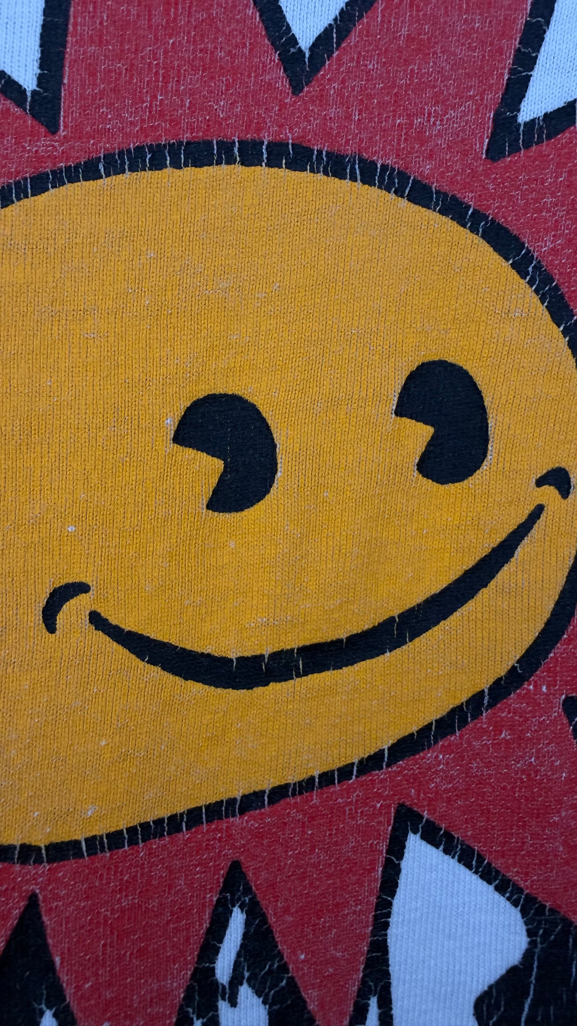 SUNNY DAY REAL ESTATE  ‘MR. SUNNY’ LONG SLEEVE | EARLY SUB POP DIARY ERA