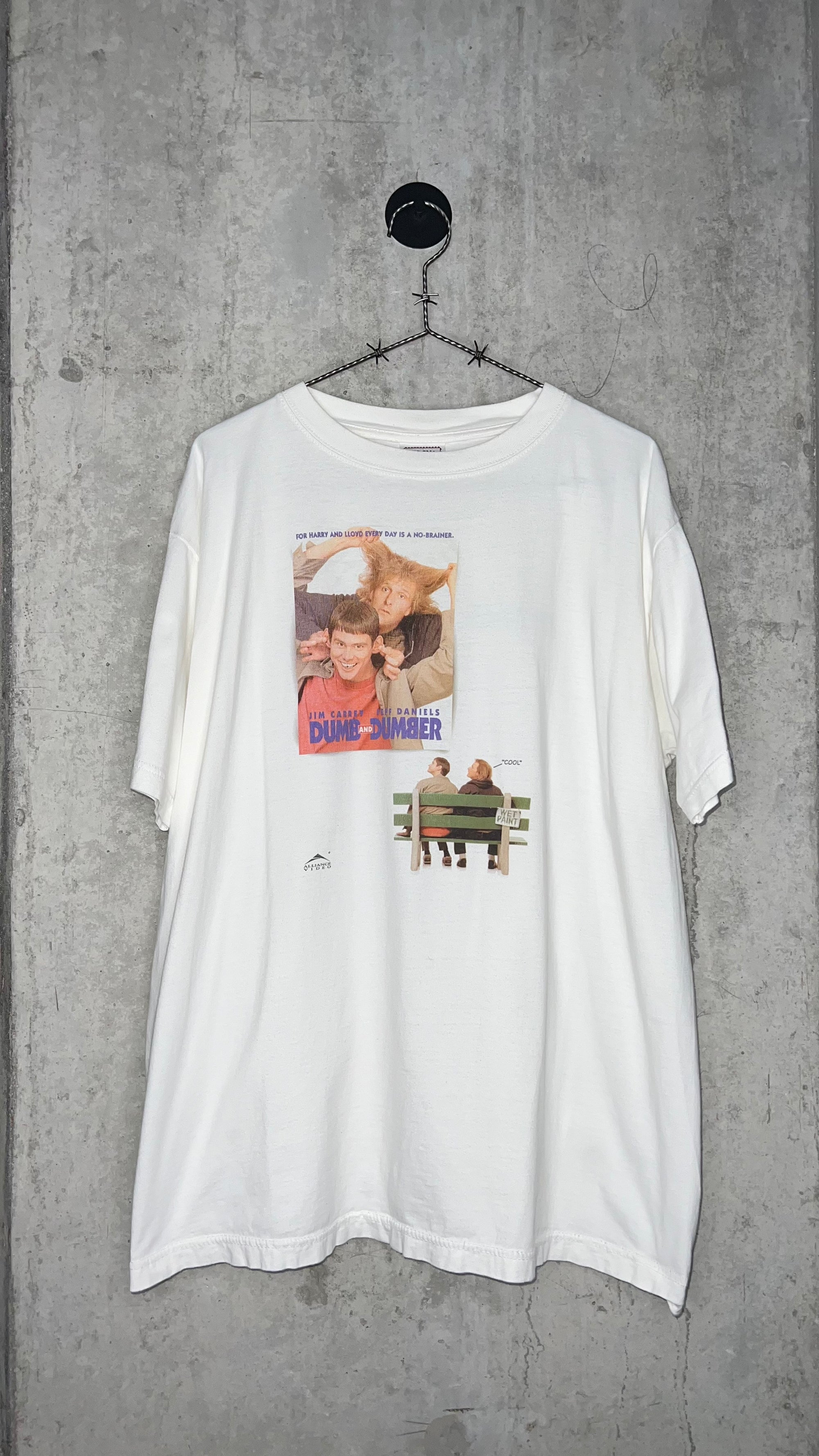 DUMB AND DUMBER MOVIE POSTER TEE | WET PAINT PARK BENCH | DUMB HAPPENS BACK HIT