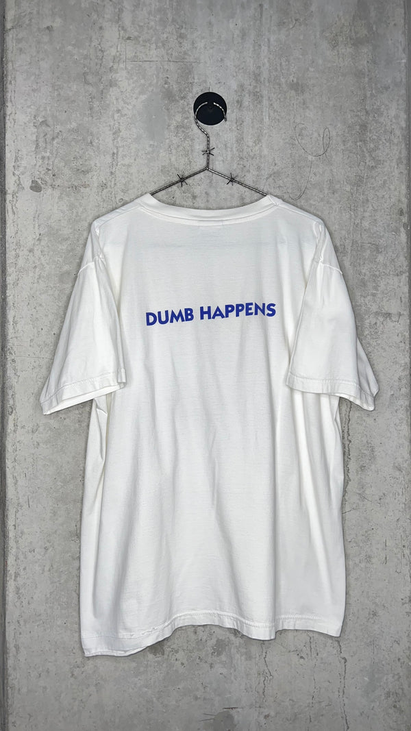 DUMB AND DUMBER MOVIE POSTER TEE | WET PAINT PARK BENCH | DUMB HAPPENS BACK HIT