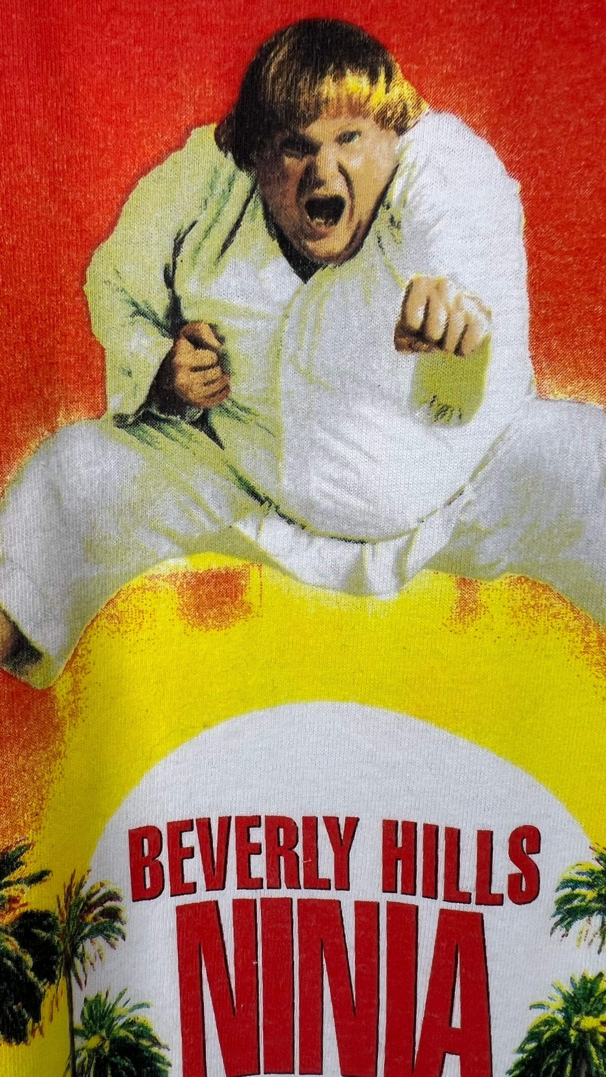 BEVERLY HILLS NINJA DEADSTOCK TEE | CHRIS FARLEY GRAIL | PAY-PER-VIEW PROMO + INTERNET COMPANY SLEEVE HI