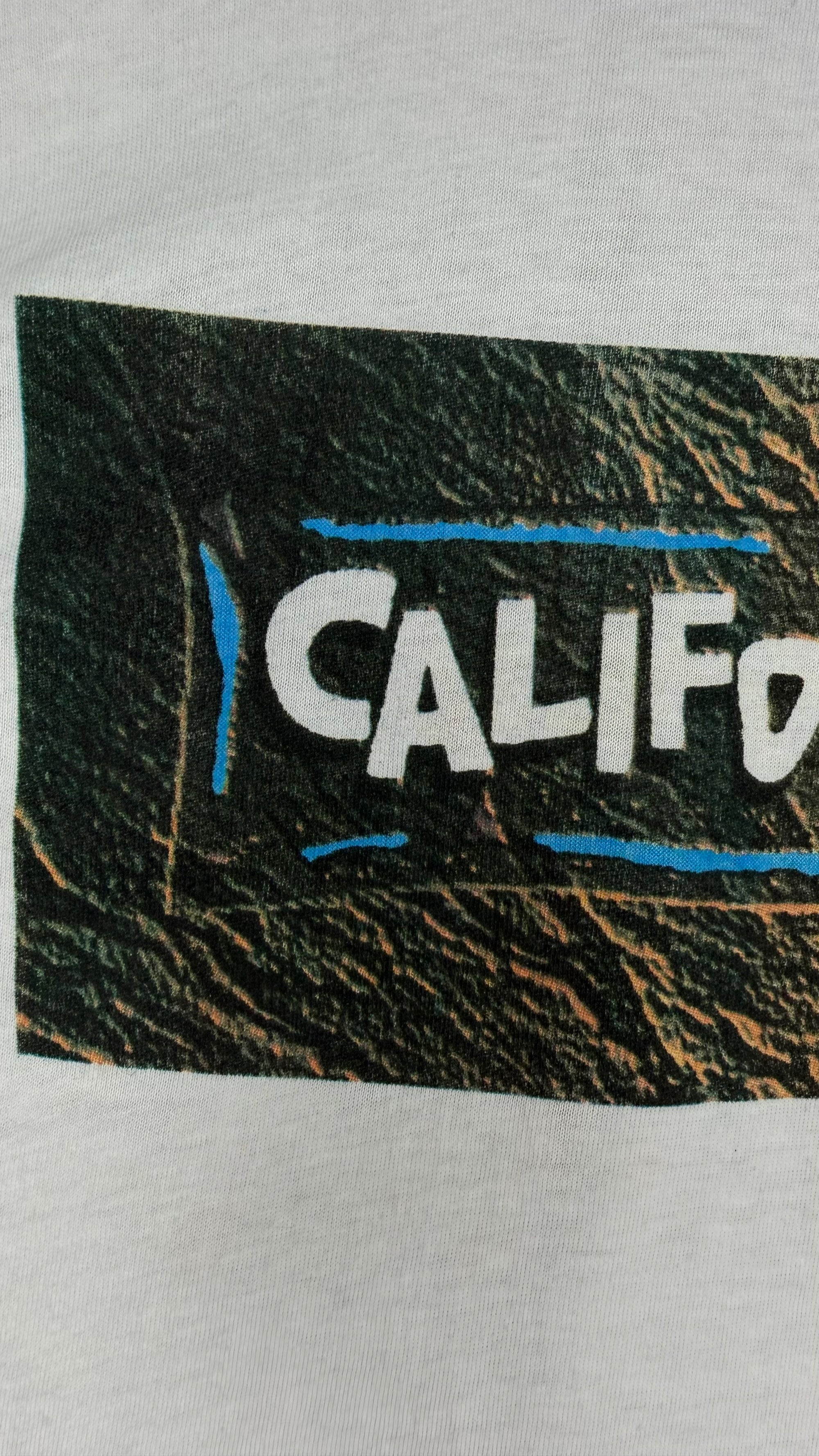 ENCINO MAN MOVIE PROMO TEE | CALIFORNIA MAN EURO VARIANT | BRENDAN FRASER ∙ SEAN ASTIN ∙ PAULY SHORE ∙ GRAIL