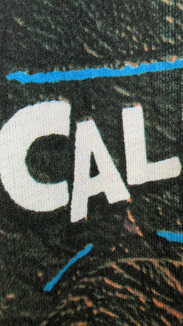 ENCINO MAN MOVIE PROMO TEE | CALIFORNIA MAN EURO VARIANT | BRENDAN FRASER ∙ SEAN ASTIN ∙ PAULY SHORE ∙ GRAIL