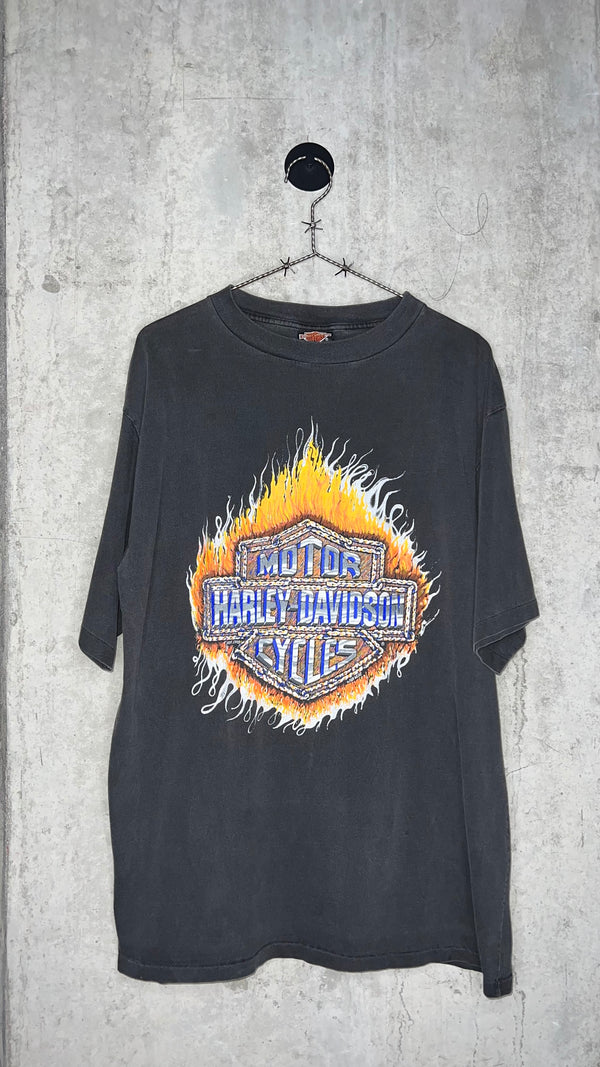 HARLEY DAVIDSON FLAMES TEE | CLASSIC HARLEY BACK HIT