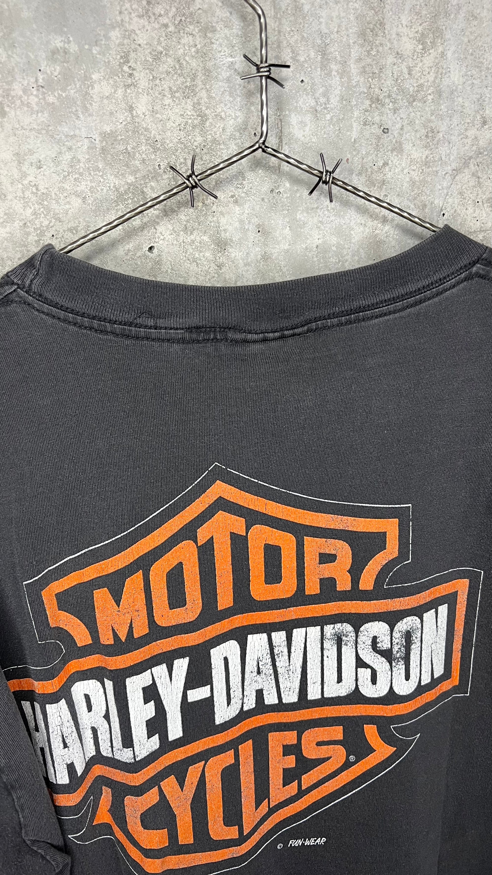 HARLEY DAVIDSON FLAMES TEE | CLASSIC HARLEY BACK HIT