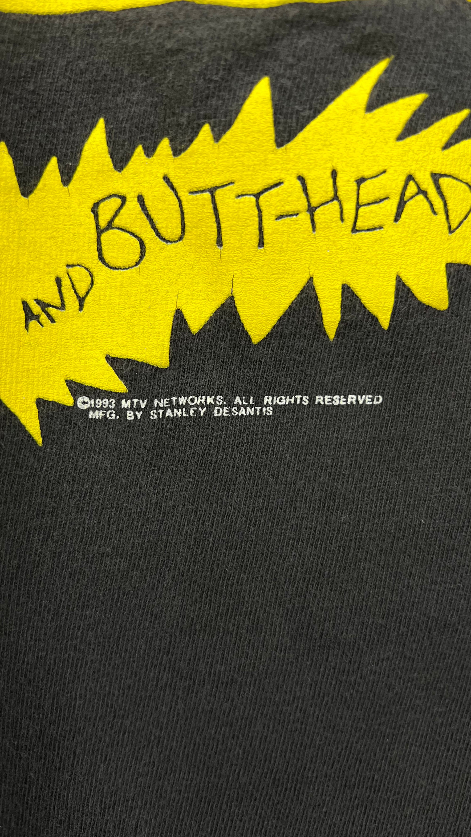 BEAVIS & BUTTHEAD INSECT COURT TEE