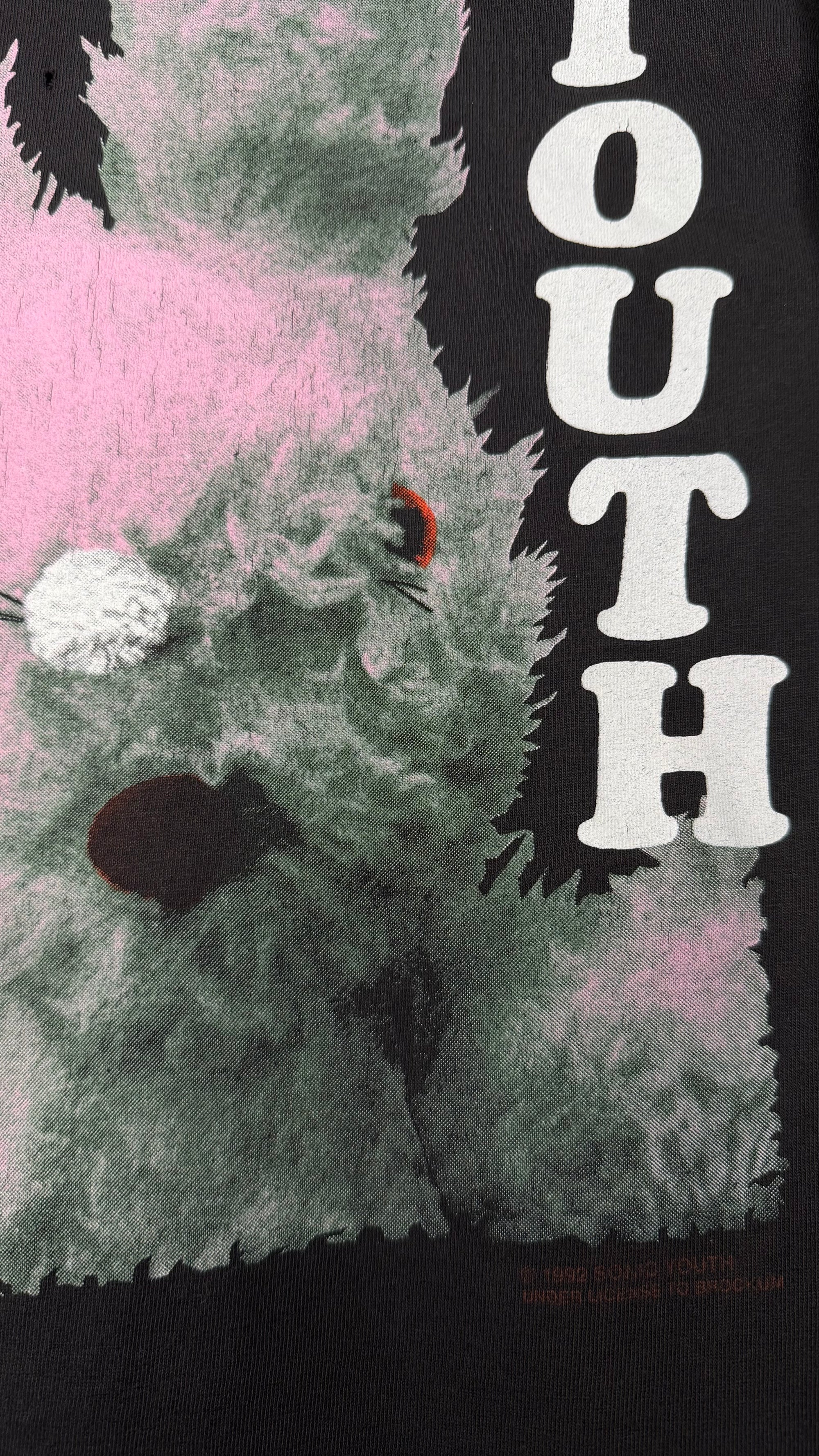 SONIC YOUTH GRACIAS TEE | DIRTY BUNNY