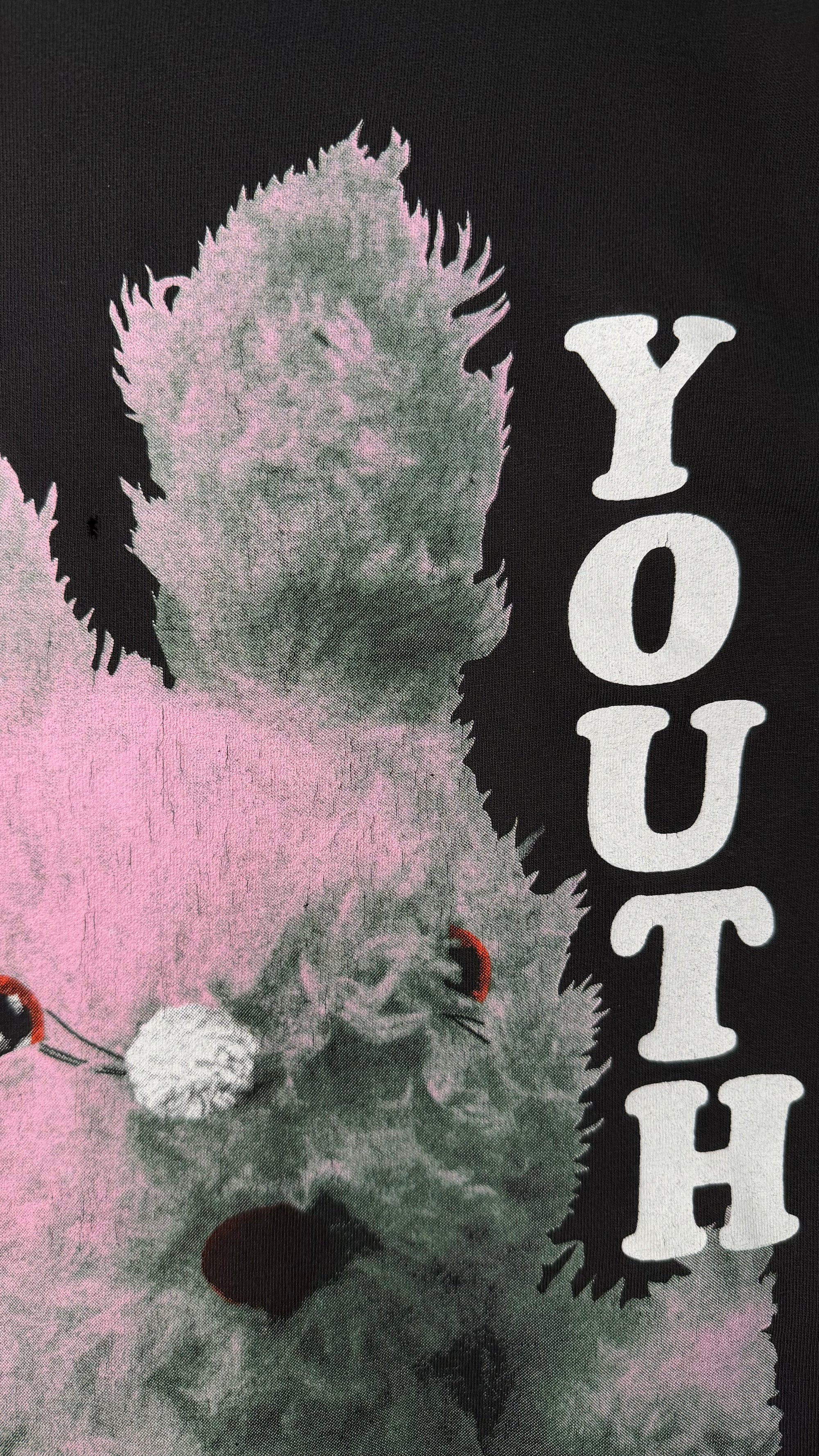 SONIC YOUTH GRACIAS TEE | DIRTY BUNNY