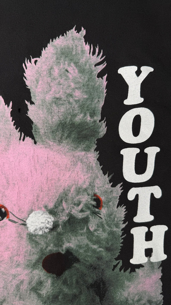 SONIC YOUTH GRACIAS TEE | DIRTY BUNNY