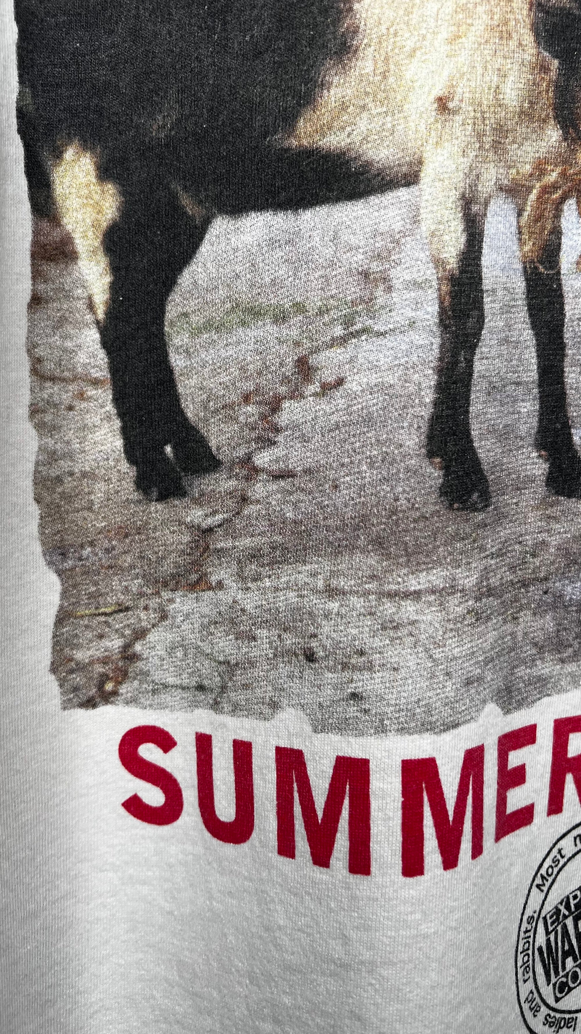 ADAM SANDLER SUMMER TOUR 96’ STANDUP COMEDY TEE | CHILD SANDLER | WHAT THE HELL HAPPENED TO ME?