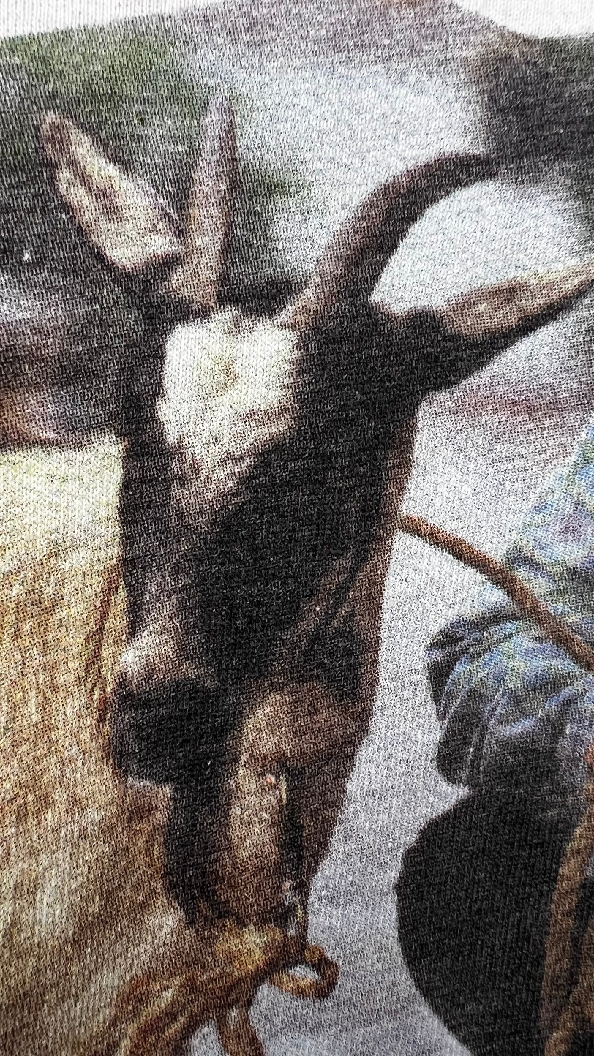 ADAM SANDLER SUMMER TOUR 96’ STANDUP COMEDY TEE | CHILD SANDLER | WHAT THE HELL HAPPENED TO ME?