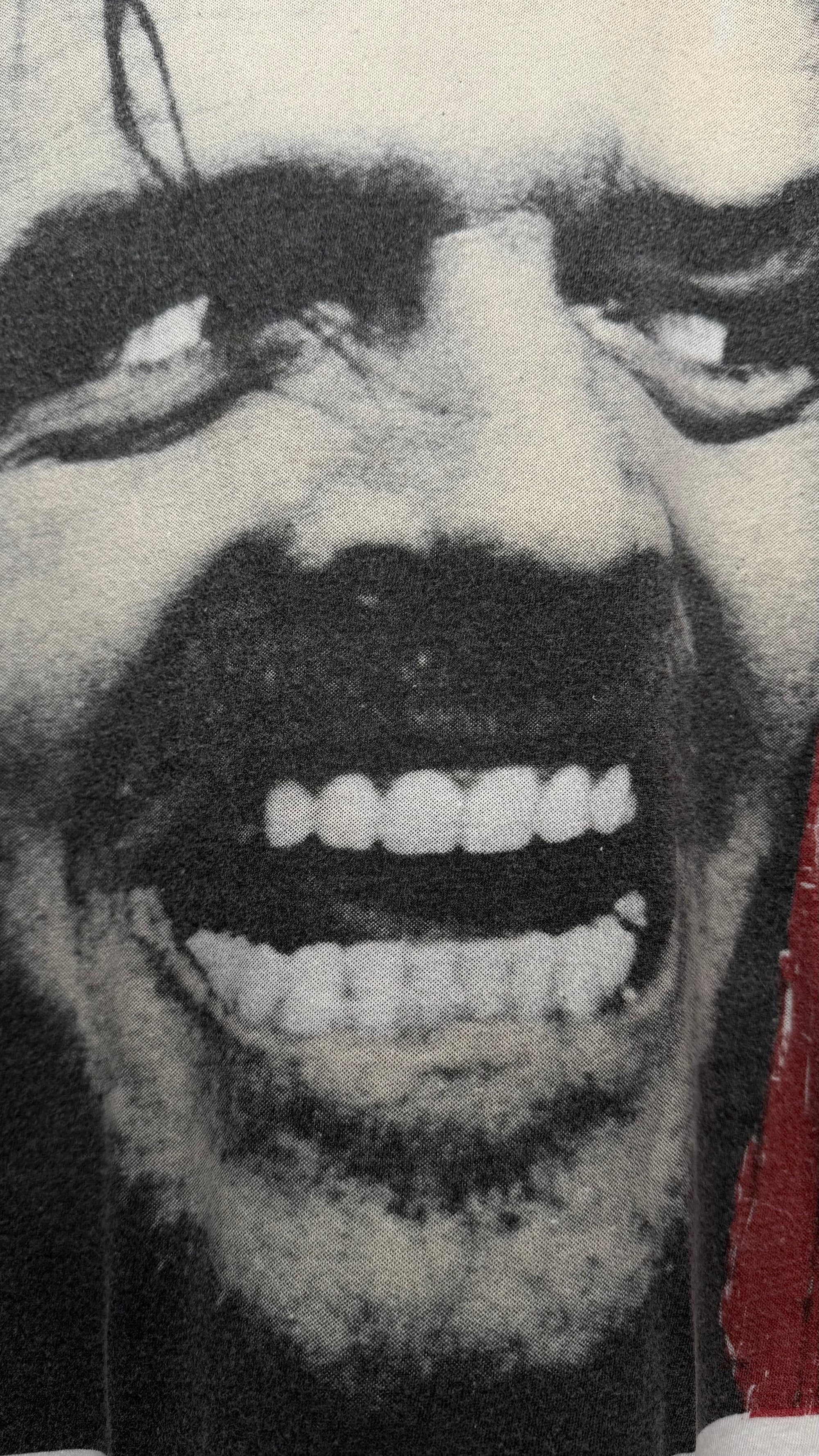 THE SHINING EURO TEE | BIG FACE JACK NICHOLSON GRAIL | “HERE’S JOHNNY!”