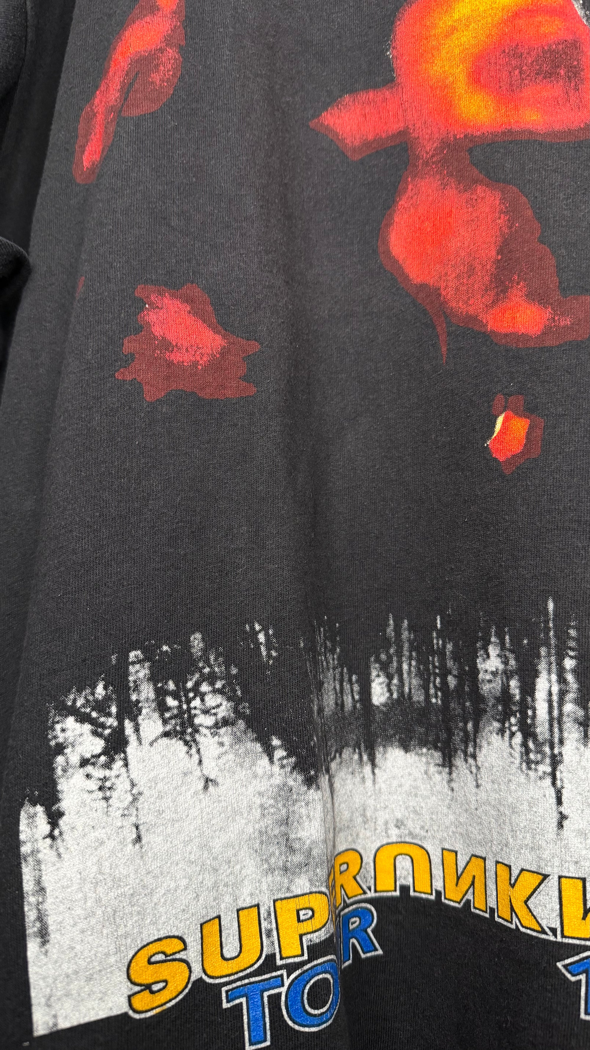 SOUNDGARDEN SUPERUNKNOWN TOUR 94’ BOOTLEG