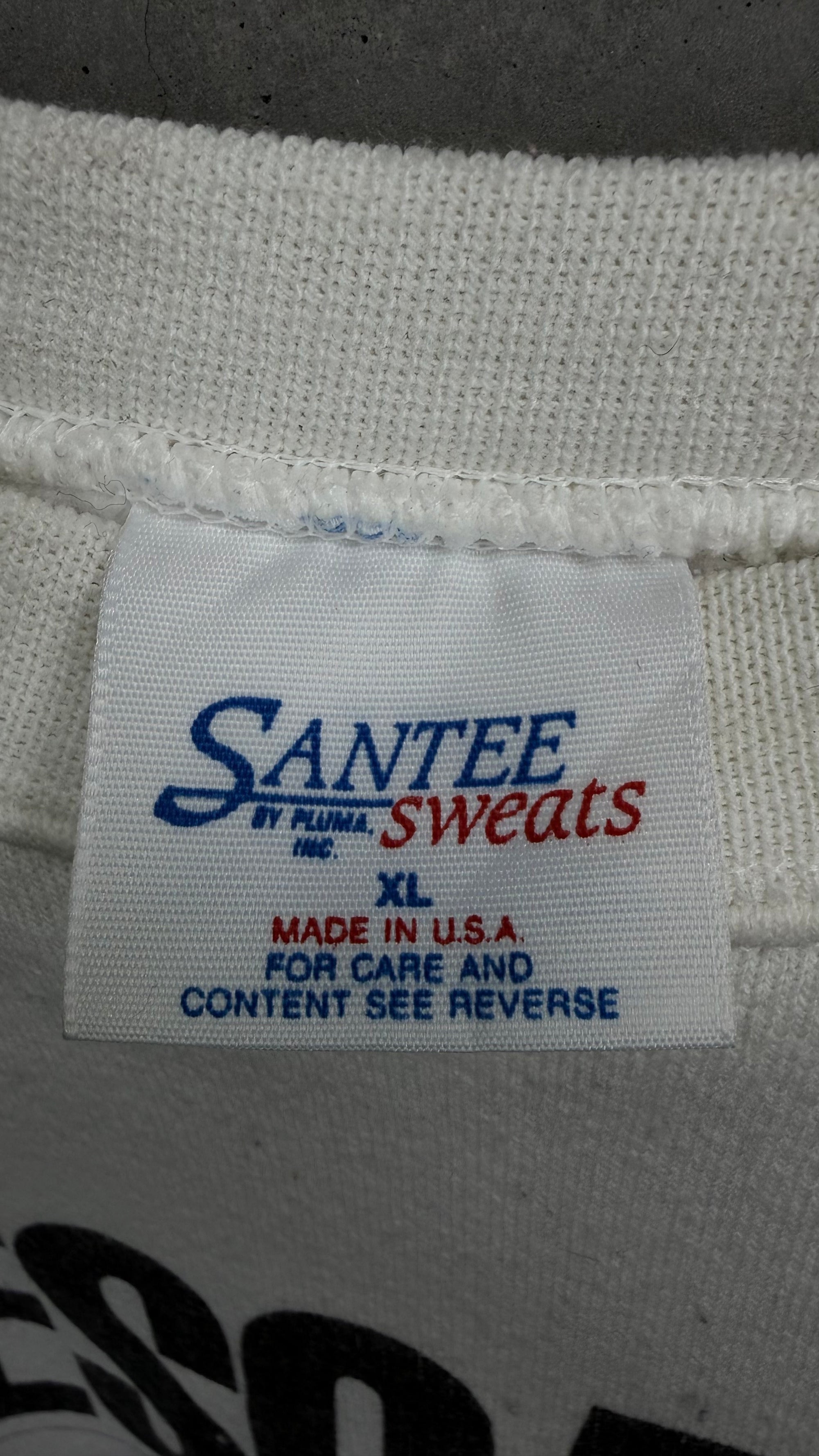 HOME ALONE 2: LOST IN NEW YORK PROMO CREWNECK | WET BANDITS MUG SHOTS | BE ON THE LOOKOUT