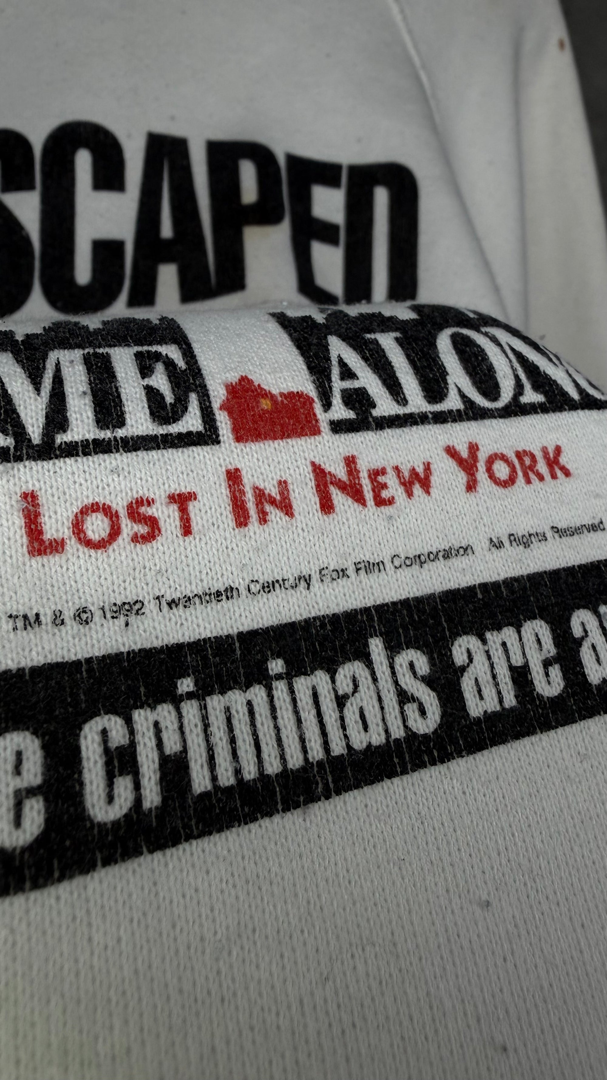 HOME ALONE 2: LOST IN NEW YORK PROMO CREWNECK | WET BANDITS MUG SHOTS | BE ON THE LOOKOUT