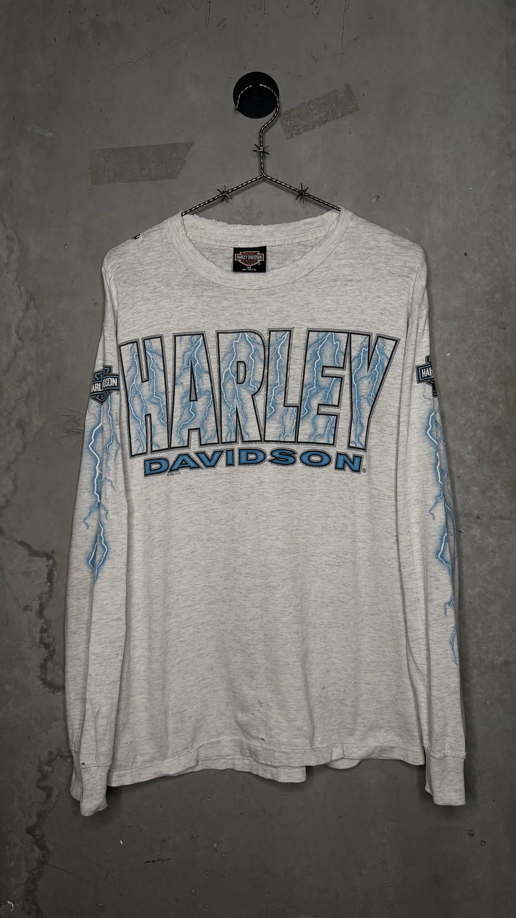 HARLEY-DAVIDSON LIGHTNING LONGSLEEVE | MESA, AZ BACKHIT