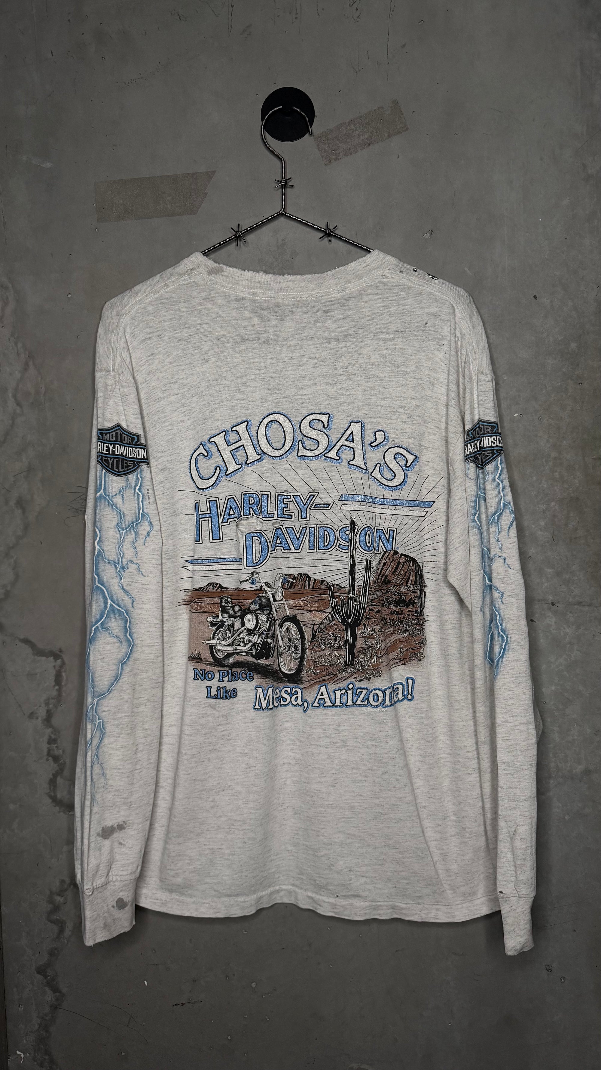 HARLEY-DAVIDSON LIGHTNING LONGSLEEVE | MESA, AZ BACKHIT