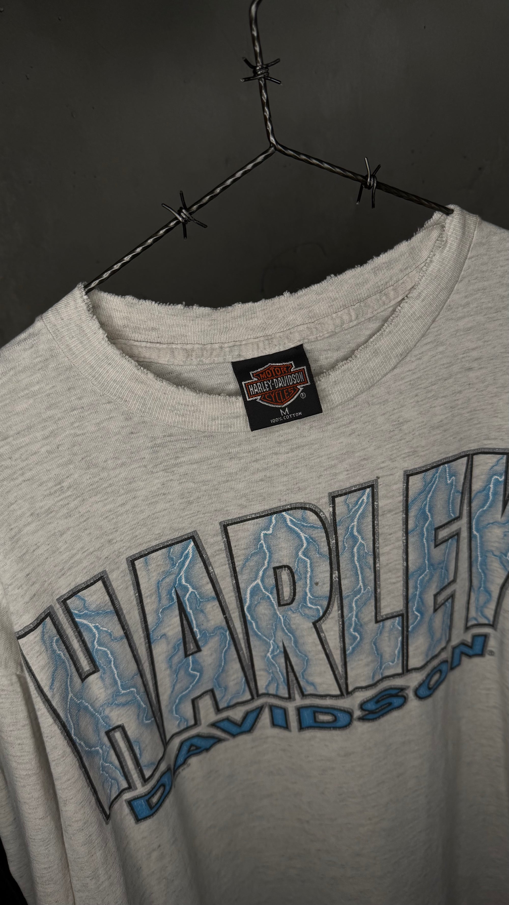 HARLEY-DAVIDSON LIGHTNING LONGSLEEVE | MESA, AZ BACKHIT
