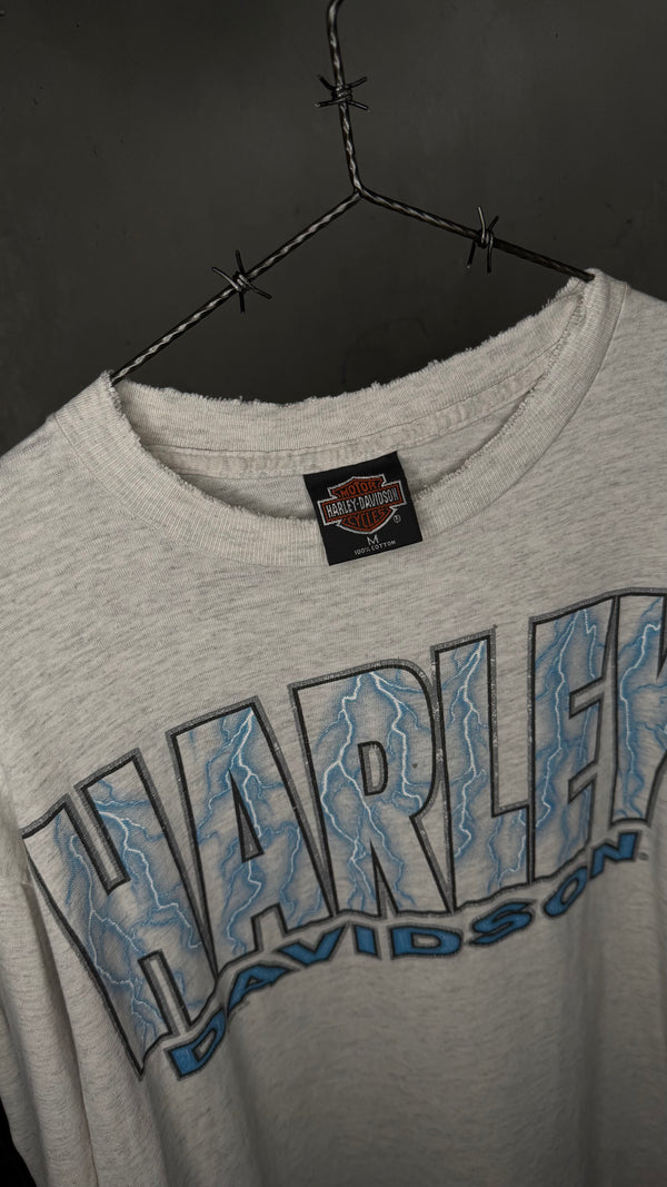 HARLEY-DAVIDSON LIGHTNING LONGSLEEVE | MESA, AZ BACKHIT