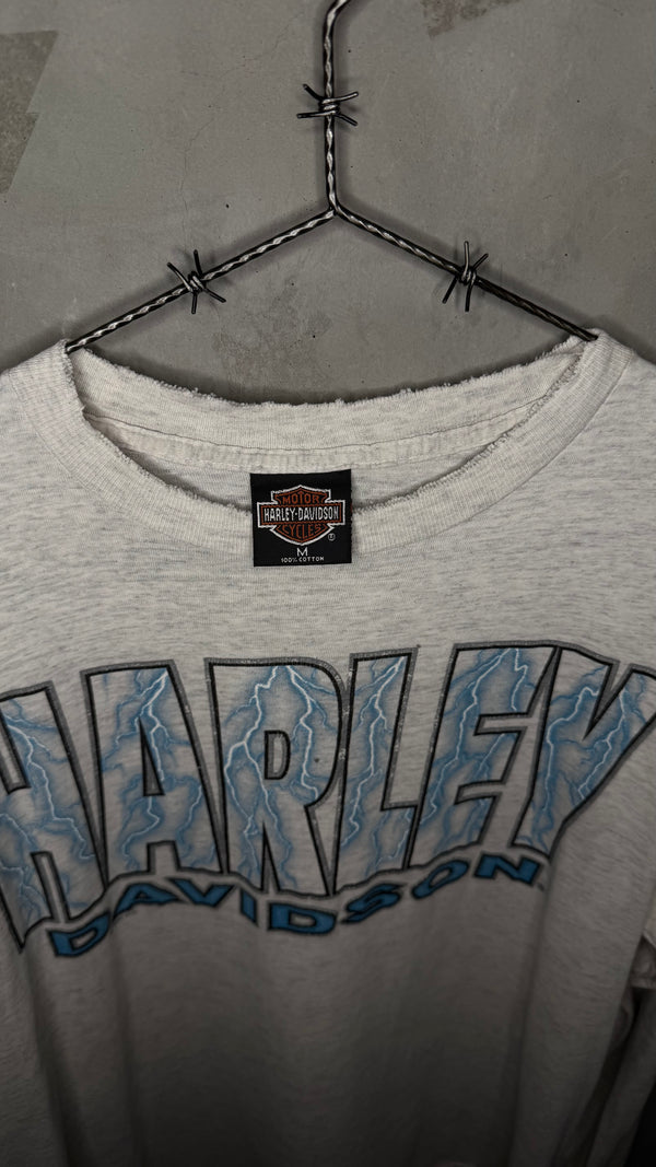HARLEY-DAVIDSON LIGHTNING LONGSLEEVE | MESA, AZ BACKHIT