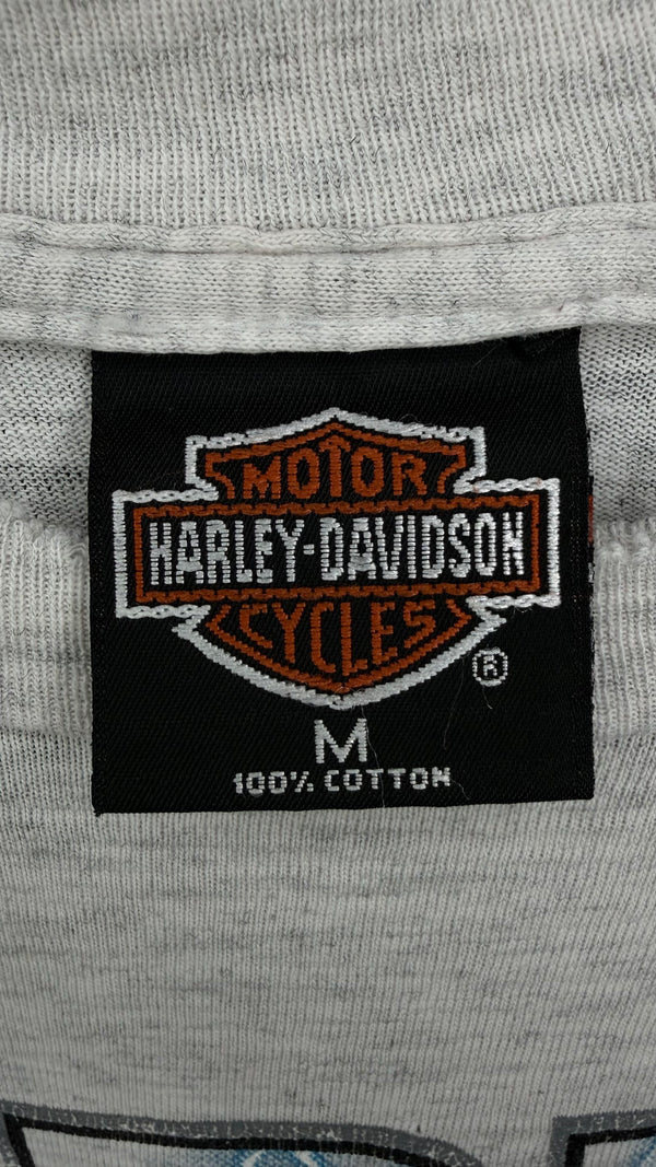 HARLEY-DAVIDSON LIGHTNING LONGSLEEVE | MESA, AZ BACKHIT