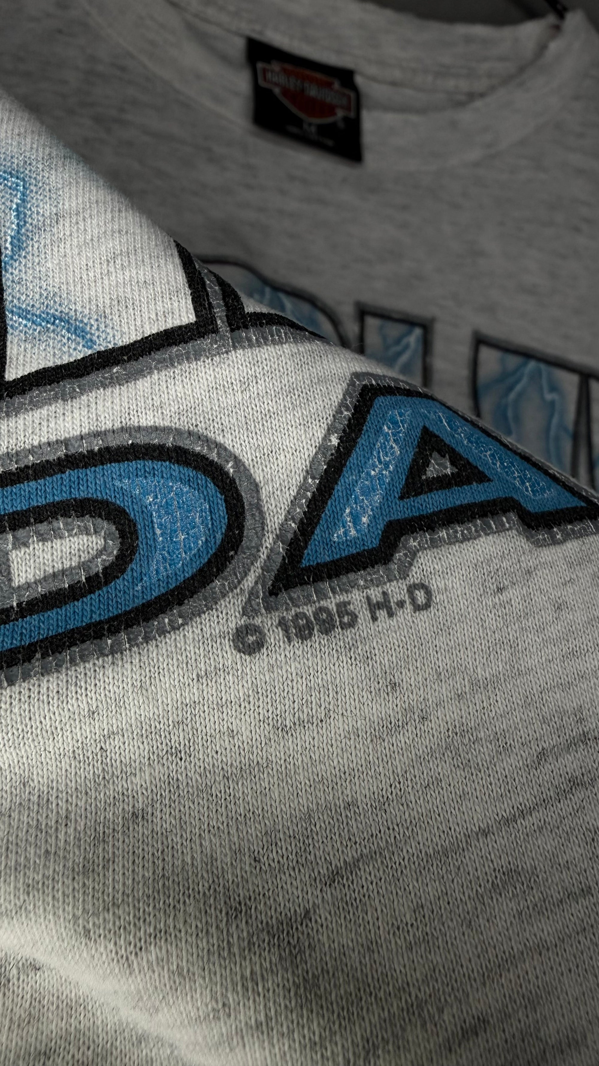 HARLEY-DAVIDSON LIGHTNING LONGSLEEVE | MESA, AZ BACKHIT