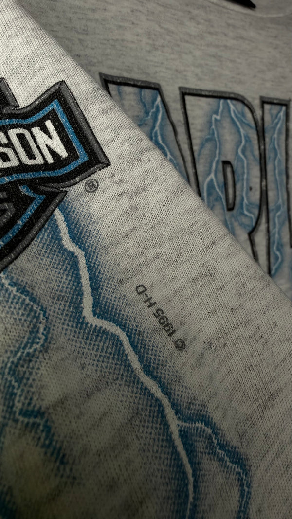 HARLEY-DAVIDSON LIGHTNING LONGSLEEVE | MESA, AZ BACKHIT