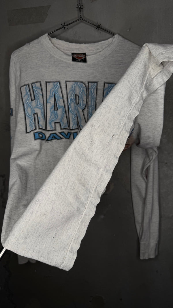 HARLEY-DAVIDSON LIGHTNING LONGSLEEVE | MESA, AZ BACKHIT