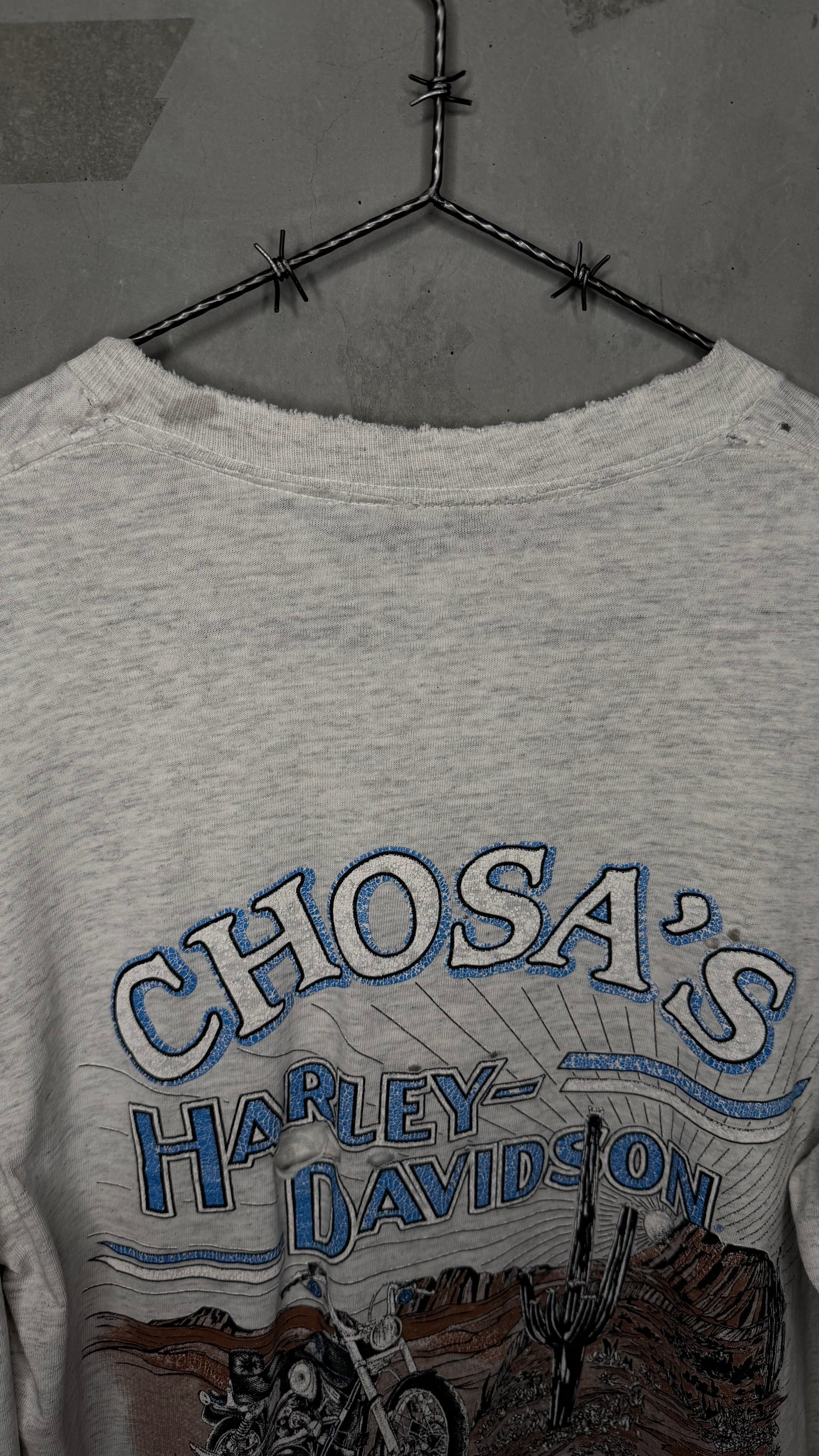 HARLEY-DAVIDSON LIGHTNING LONGSLEEVE | MESA, AZ BACKHIT