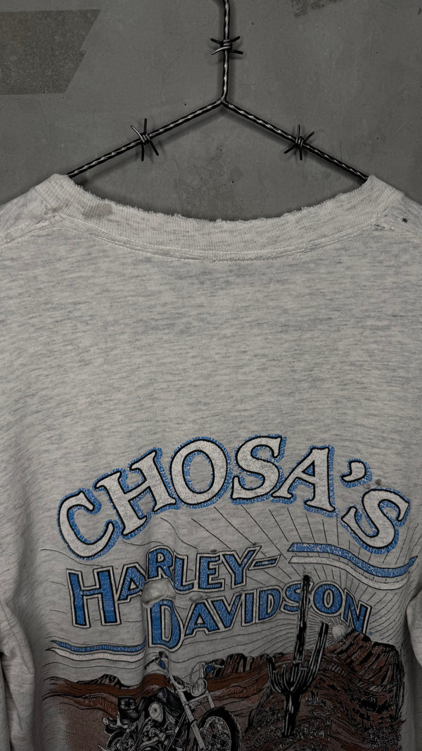 HARLEY-DAVIDSON LIGHTNING LONGSLEEVE | MESA, AZ BACKHIT