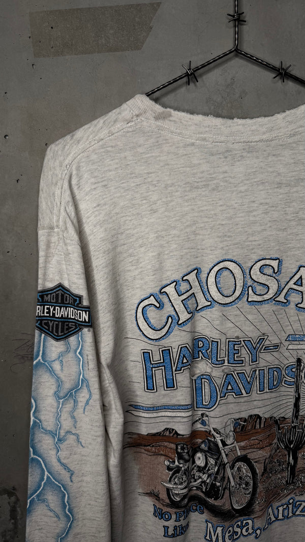 HARLEY-DAVIDSON LIGHTNING LONGSLEEVE | MESA, AZ BACKHIT