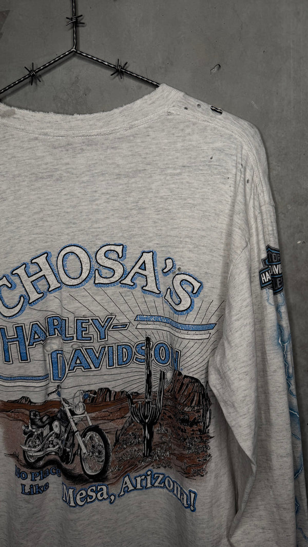 HARLEY-DAVIDSON LIGHTNING LONGSLEEVE | MESA, AZ BACKHIT