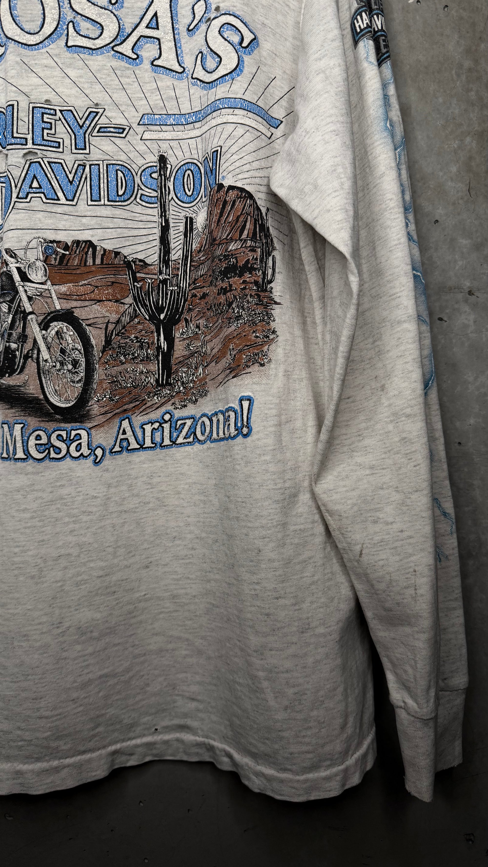 HARLEY-DAVIDSON LIGHTNING LONGSLEEVE | MESA, AZ BACKHIT