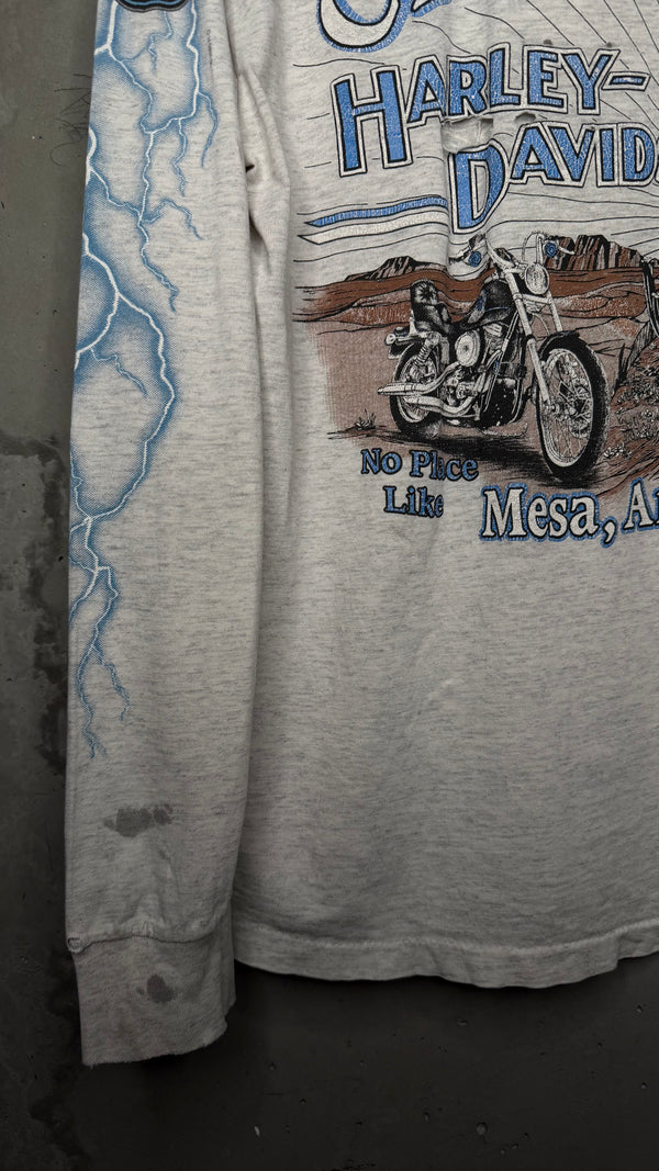 HARLEY-DAVIDSON LIGHTNING LONGSLEEVE | MESA, AZ BACKHIT