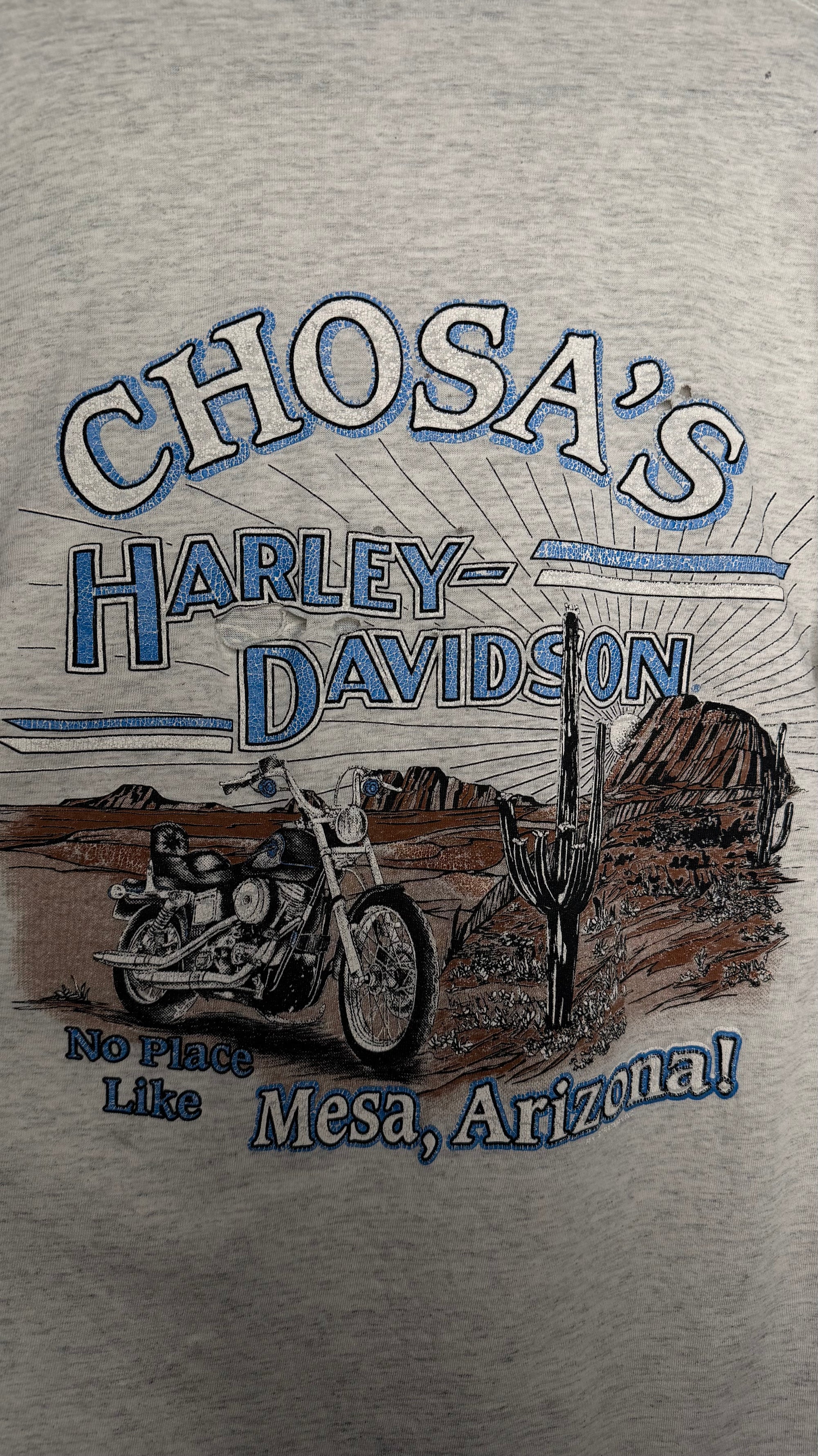 HARLEY-DAVIDSON LIGHTNING LONGSLEEVE | MESA, AZ BACKHIT