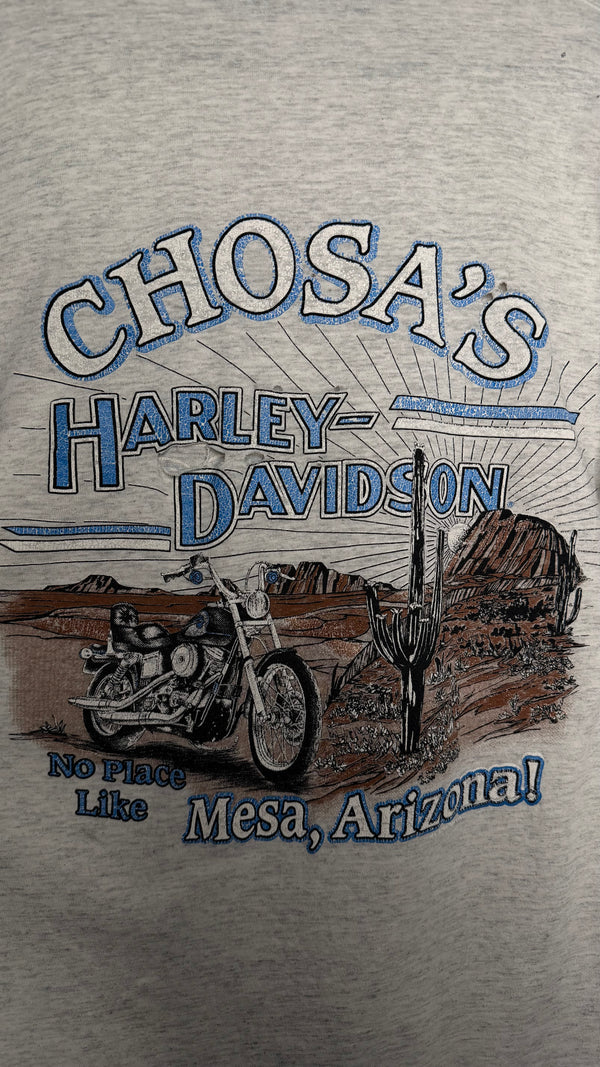 HARLEY-DAVIDSON LIGHTNING LONGSLEEVE | MESA, AZ BACKHIT