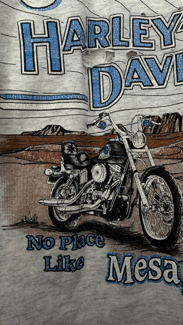 HARLEY-DAVIDSON LIGHTNING LONGSLEEVE | MESA, AZ BACKHIT